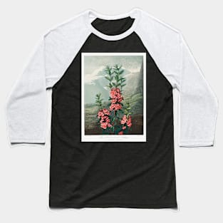 The Narrow–Leaved Kalmia Baseball T-Shirt